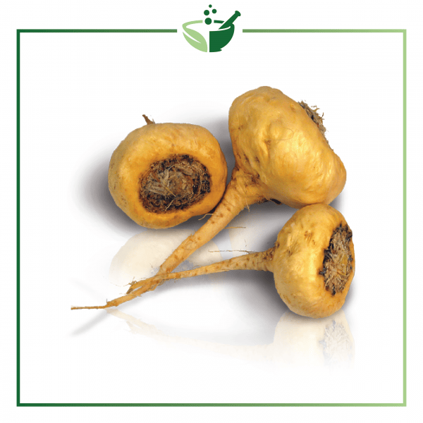 Maca Powder-017